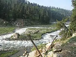 A stream flowing through the Hirpora Wildlife Sanctuary in Shopian district of Kashmir.