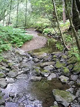 Image 12This stream operating together with its environment can be thought of as forming a river ecosystem. (from River ecosystem)