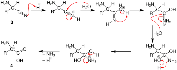 Mechanism of the Strecker synthesis