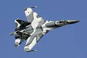 Sukhoi Su-27  101-359 Units