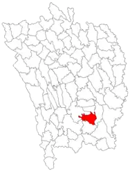 Location in Vaslui County