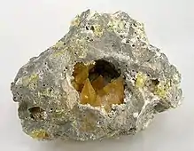 Nestled in its matrix vug are five golden-yellow crystals of sulfur