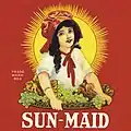 The California Associated Raisin Company begins using the “Sun-Maid” brand name and the painting of Lorraine Collett.