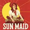 The trademark is updated for the second time. The sun was moved off-center, intensifying the effect of the sunshine with the bonnet casting a shadow across the Sun-Maid Girl’s face.