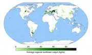 Worldwide sunflower output