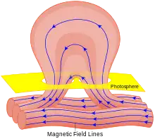 Diagram of the magnetic-field structure of a solar flare and its origin, inferred to result from the deformation of such a magnetic structure linking the solar interior with the solar atmosphere up through the corona.