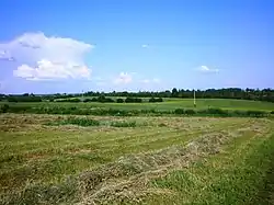 Landscape near Lomeikiškiai