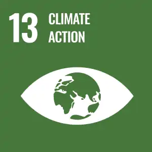 Green logo for Goal 13 of the SDGs - Climate Action