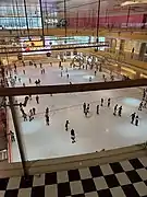 Ice rink