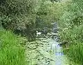 View of Waveney nr Roman road: Scole Bridge towards A143