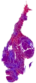 Cartogram of vote with each municipality rescaled in proportion to number of valid votes cast. Deeper blue represents a greater relative majority for the centre-right coalition, brighter red represents a greater relative majority for the left-wing coalition.