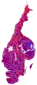 Cartogram of vote with each municipality rescaled in proportion to number of valid votes cast. Deeper blue represents a relative majority for the centre-right coalition, brighter red represents a relative majority for the left-wing coalition.