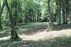 Old cemetery in Świerzowa Ruska