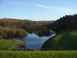 A lake surrounded by trees