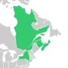 Symphyotrichum × tardiflorum recorded occurrences: New Brunswick, Nova Scotia, and Québec (Canada); New York (US).