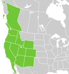 Symphyotrichum frondosum distribution map: Canada — British Columbia; Mexico — Baja California; US — Arizona, California, Colorado, Idaho, Nevada, New Mexico, Oregon, Utah, Washington, and Wyoming.