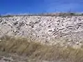 Road cut near Fort Davis, Texas showing a syncline