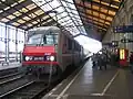 A TER train from Nîmes to Portbou arrives at the station