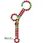 TLS-PK5:  Secondary structure taken from the Rfam database. Family RF01088. Derived from Pseudobase PKB00143