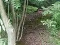 A branch of the Ten Mile Run crossing New Road near Kingsley Park