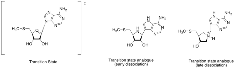 Transition state analogue example one