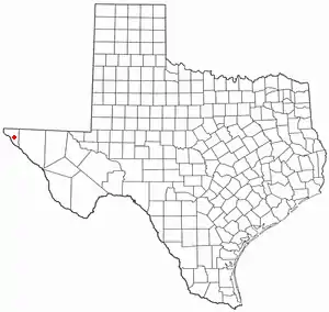 Location of Horizon City, Texas