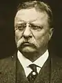 Former PresidentTheodore Rooseveltof New York(Not Nominated)