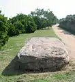 The prehistoric megalith La Table des Marthes lies alongside the trail at La Corbière. The former platform can be seen on the other side of the trail.