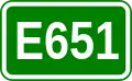 E651 shield