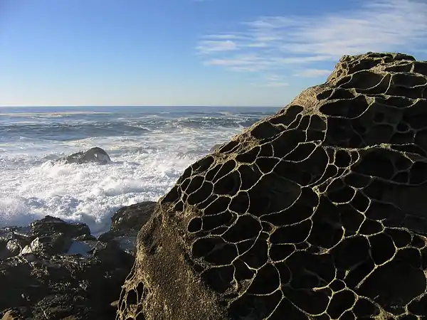 Tafoni at Salt Point, Sonoma Coast, California