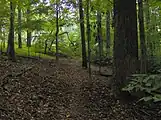 The Tall Timbers Trail in the park's east section