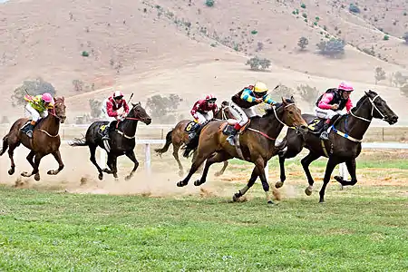 Image 20Horse racingCredit: Fir0002Horses race on grass at the 2006 Tambo Valley Races in Swifts Creek, Victoria, Australia. Horseracing is the third most popular spectator sport in Australia, behind Australian rules football and rugby league, with almost 2 million admissions to the 379 racecourses throughout Australia in 2002–03.More selected pictures