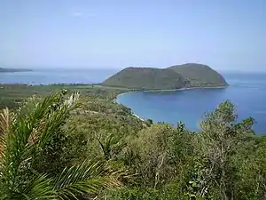 Habitat of Sphaerodactylus fantasticus fuga in Cabrits National Park, north-western Dominica.