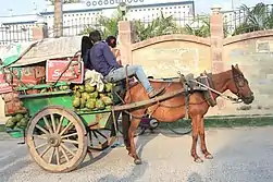 Tanga (carriage) at Darbhanga, Bihar, India.