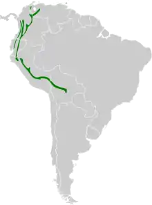 Map of South America, with green shading indicating that the species is present in the Andes