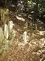 Ruins of Myōyōji Temple