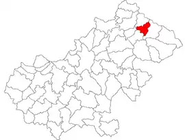 Location in Satu Mare County