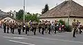 The HDF Central Band at the 2010 Water Music Flower Festival in Tata.