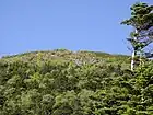 Mount Tateshina from the middle of the mountain