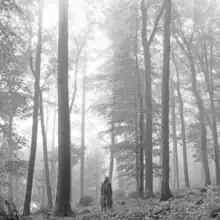 Cover artwork of Folklore, a black-and-white photo showing Swift standing in the woods