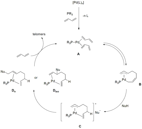 Catalytic cycle of the Palladium/Phosphine-catalyzed telomerization of 1,3-butadiene with a nucleophile NuH