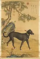 One of a series in Ten Prized Dogs, painted by the Giuseppe Castiglione