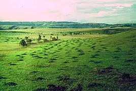 La Gran Sabana