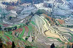 Image 21Ancient rice terraces in Yuanyang County, Yunnan (from History of agriculture)