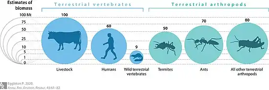 Image 37Biomass distribution of humans, livestock, and other animals (from Livestock)