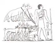 Image 37Tesem, an ancient Egyptian sight-hound (from Dog breed)