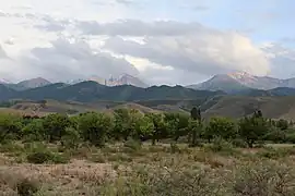 The Teskey Ala-Too range as seen from the beach at Ak Terek