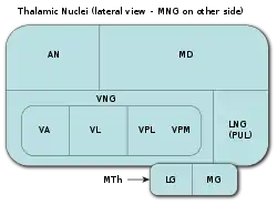 Thalamic nuclei