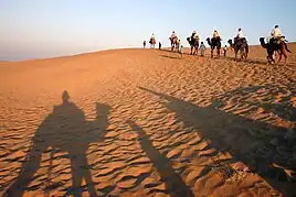 Thar Desert near Jaisalmer