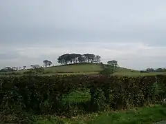 Hillfort near Twynham